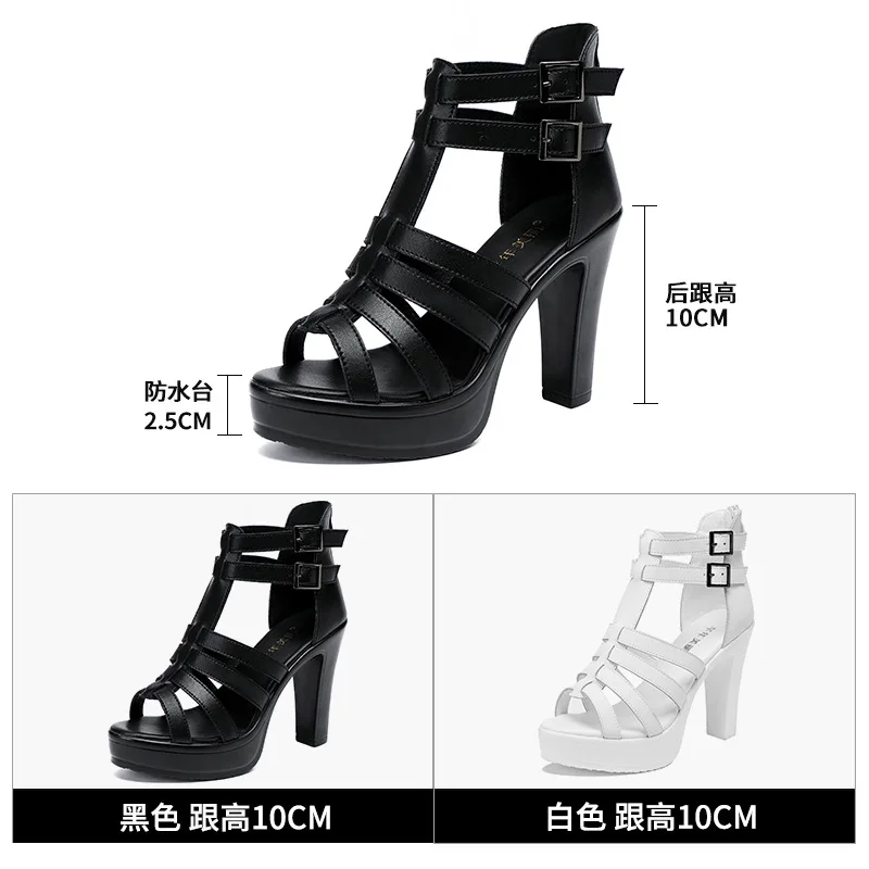Gladiator Ladies Shoe for Wome - Summer Clothing Offers ulasan dan harga